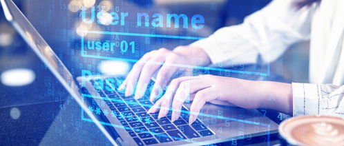 專(zhuān)科計(jì)算機(jī)專(zhuān)業(yè)涵蓋的數(shù)據(jù)處理服務(wù)領(lǐng)域詳解